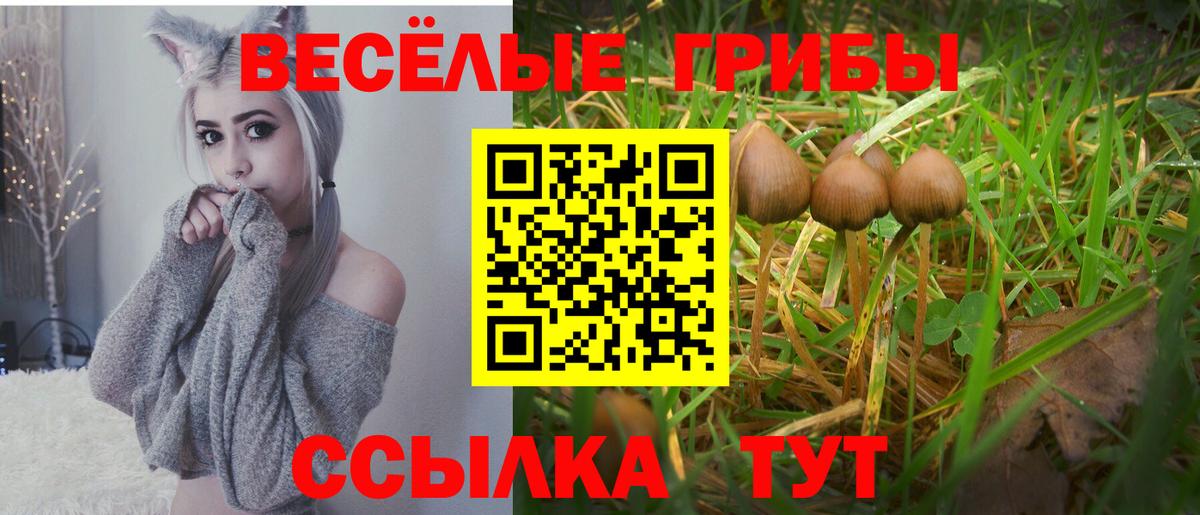 Галлюциногенные грибы Cubensis  Вход с VPN  Псилоцибиновые грибы мицелий  Воркута 