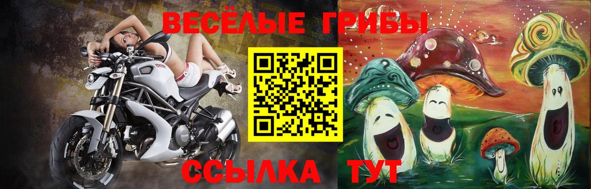 Галлюциногенные грибы MAGIC MUSHROOMS Воркута